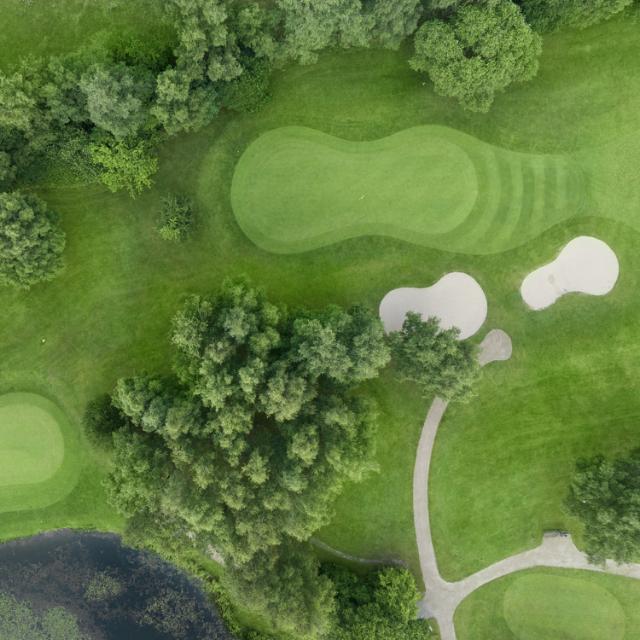 Green grass on golf course.