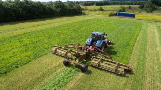 Harvester harvesting am Alfalfa field.