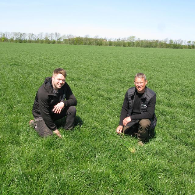 Two men sitting on field of grass.