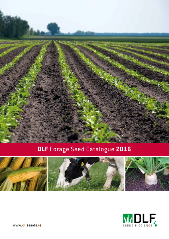 forage crops forage crops
