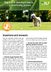 Dog patch resistant lawn - Q&A brochure
