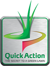 Quick Action logo