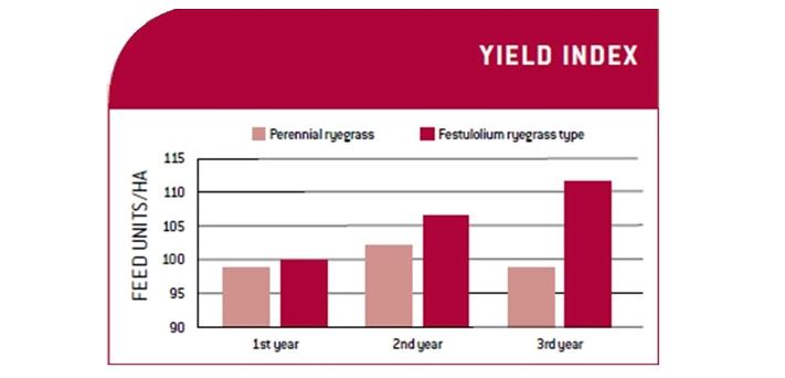 ENG-Yield.JPG