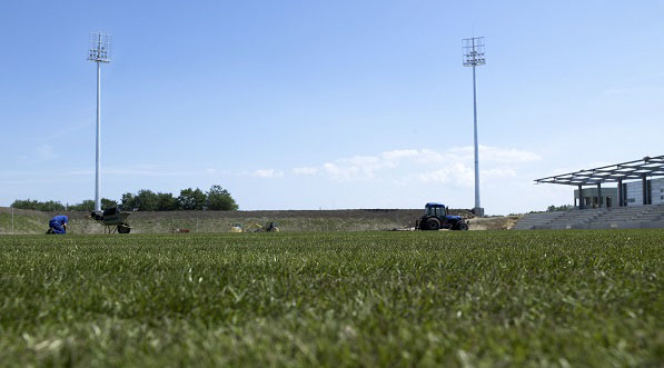 Establishment of new turf