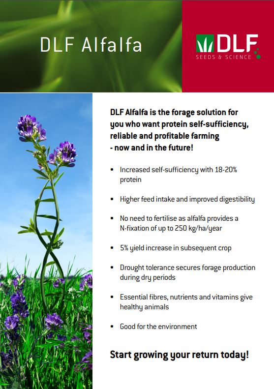 DLF Alfalfa 1pager