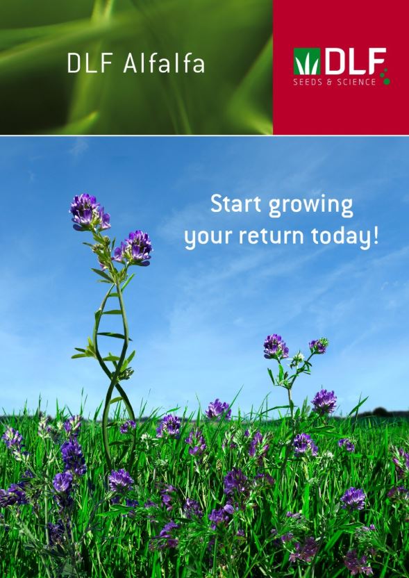DLF Alfalfa leaflet