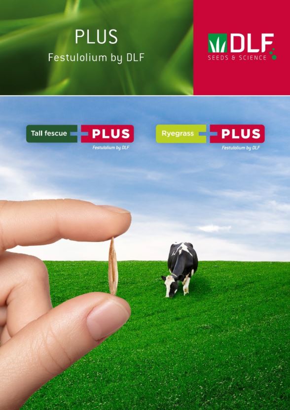 PLUS - Festulolium by DLF Q&A brochure