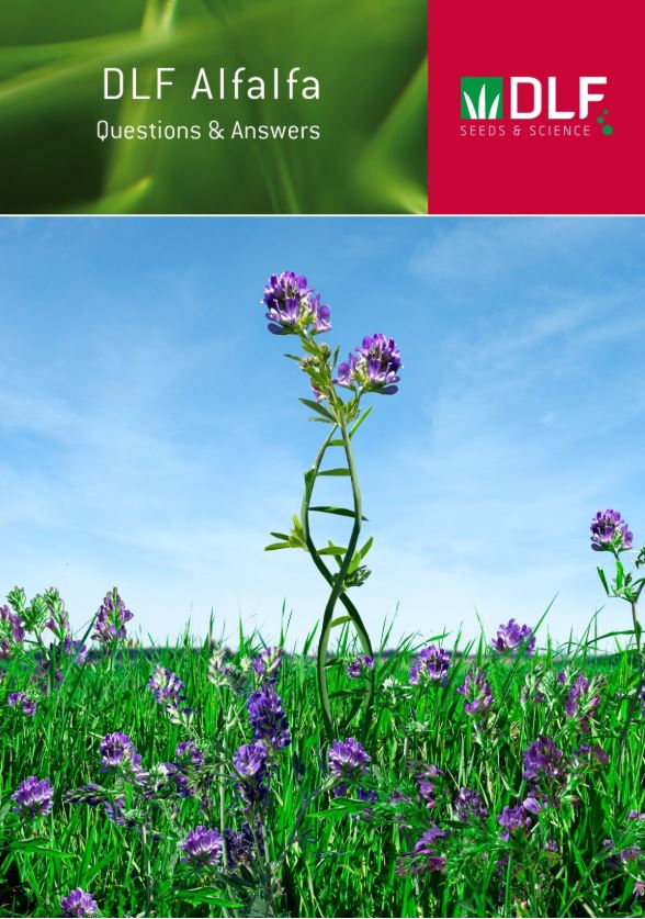 DLF Alfalfa Q&A brochure