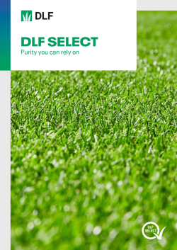 DLF Select brochure