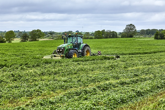 Alfalfa_Cut_17_DK_630.jpg